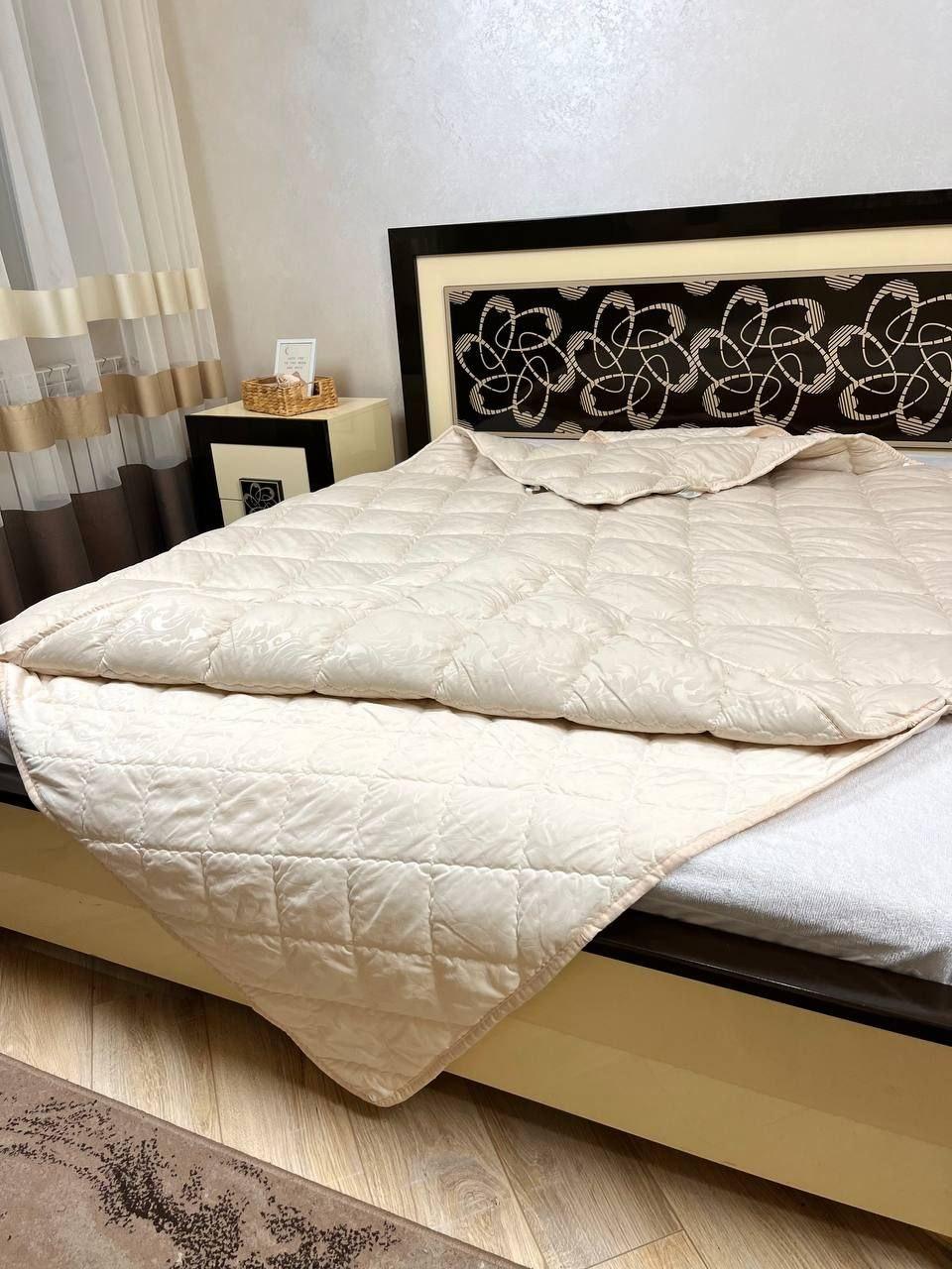 Ковдра подвійна на кнопках зима-літо холофайбер 200х220 см (Е3000-23)