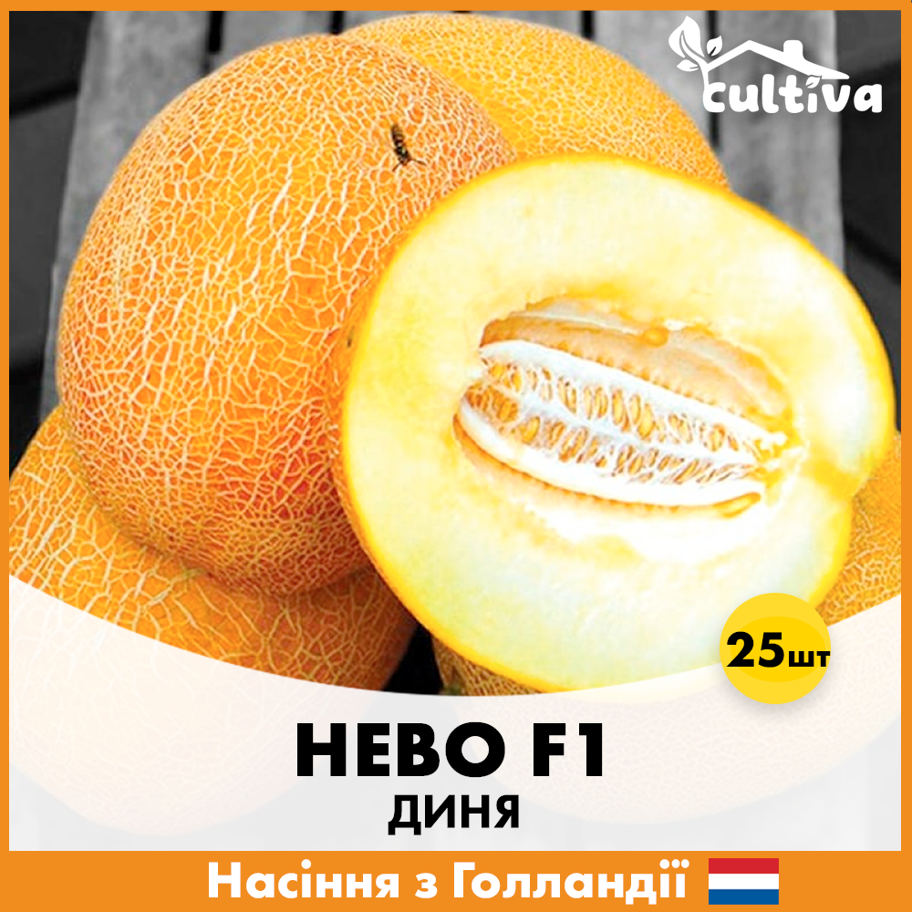Семена дыни Hazera Нево F1 25 шт. (D1-25)