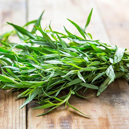 Насіння Тархун Florium (3404)