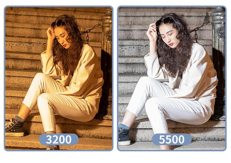 Видеосвет Led Teyeleec TL520 3200-5600 K - фото 8 Видеосвет Led Teyeleec TL520 3200-5600 K - фото 8