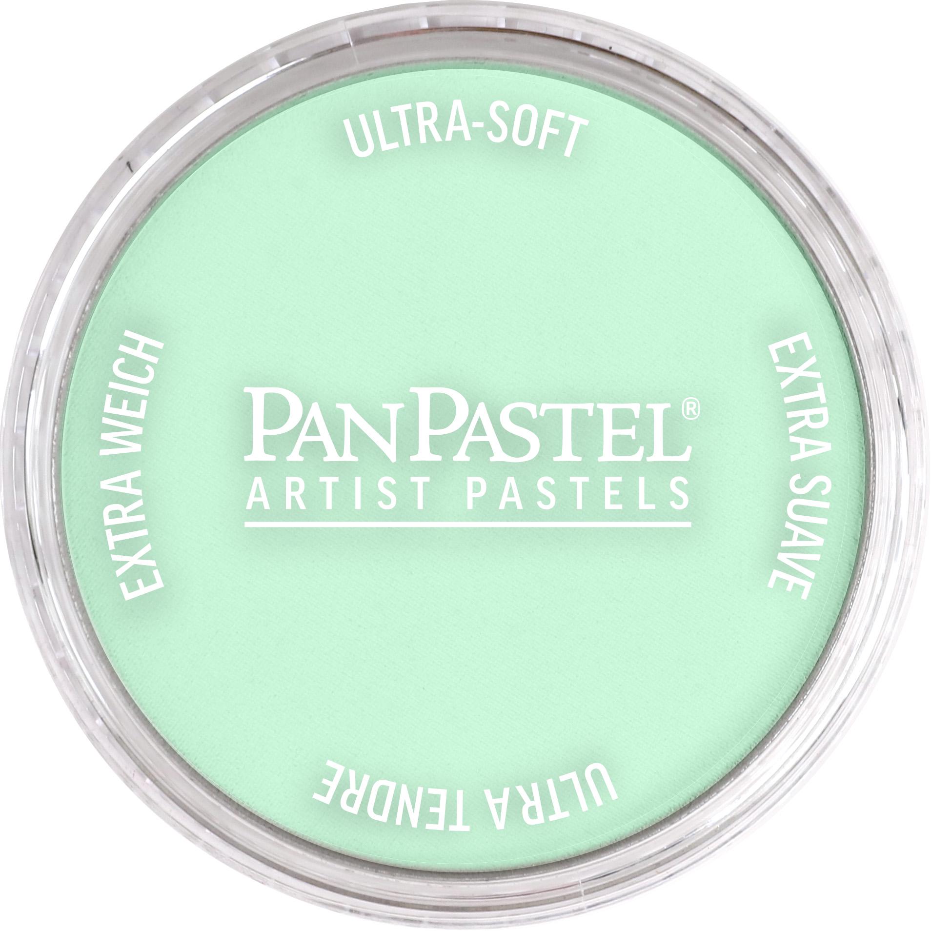 Пастель художня PanPastel 640.8 Permanent Green Tint 9 мл (28769458)