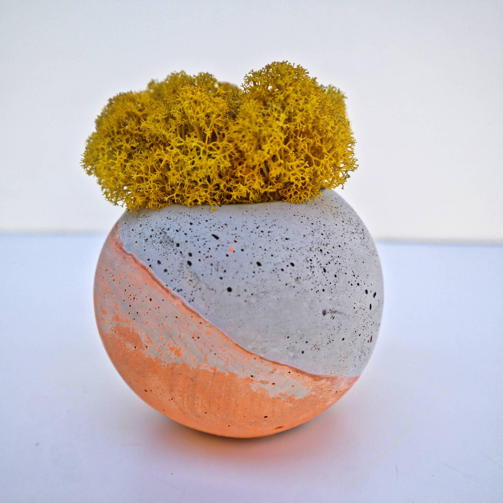 Кашпо со стабилизированным мхом