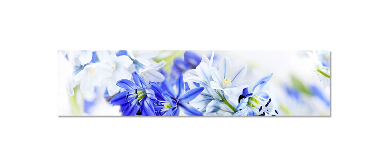 Наклейка виниловая на кухню Zatarga Подснежники 600х2500 мм (1283915244)