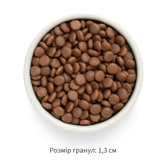 Корм сухой для собак Grandorf Fresh Лосось с бататом для взрослых собак средних и крупных пород 3 кг (94903) - фото 3