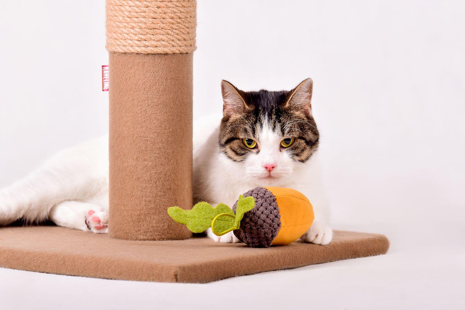 Игрушка для животных Желудь 9,5 см (33009) - фото 2 Игрушка для животных Желудь 9,5 см (33009) - фото 2