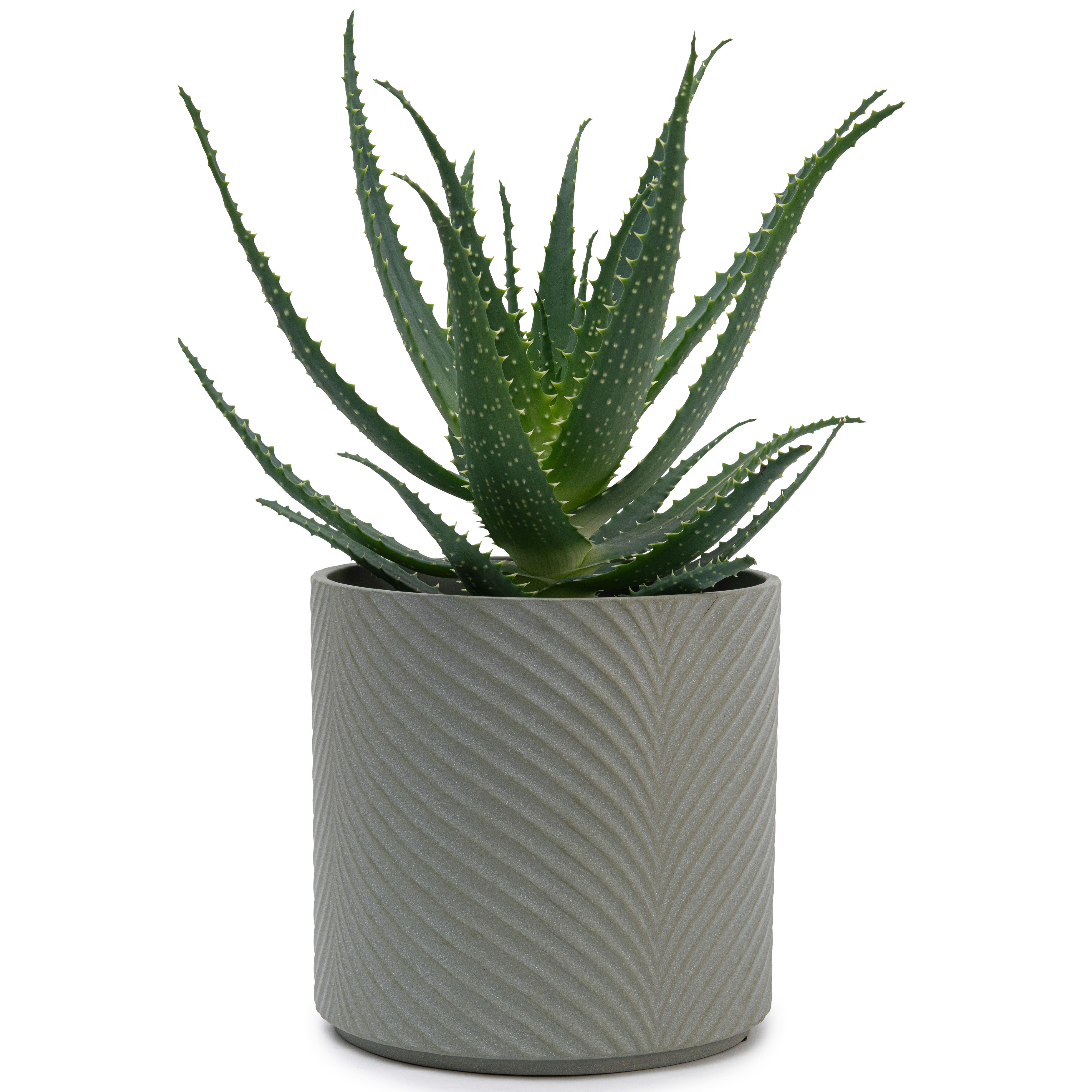 Набор кашпо для цветов керамические elemi Листок круглый 1,3 л/2,3 л/4,5 л Темно-зеленый (УТ-00094682) - фото 12