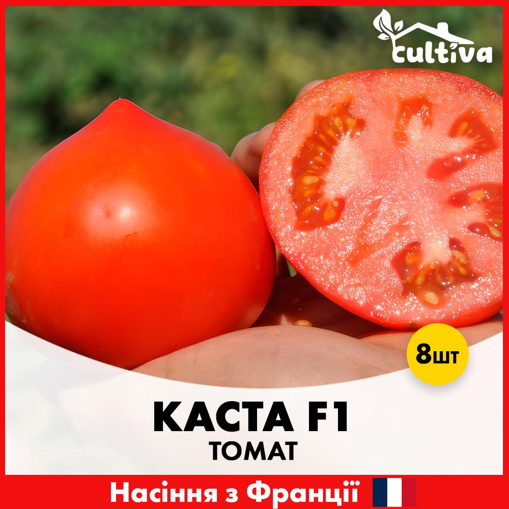 Семена томата Clause Каста F1 8 шт. (R51118)