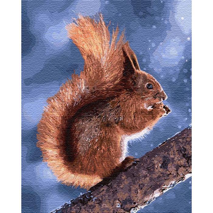 Картина по номерам Идейка "Маленькая белочка" 40х50 см (KH4205)