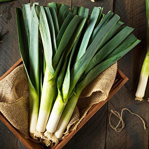 Семена Цибуля Florium Карантанський порей на стрічці 5 м (18357) - фото 2 Семена Цибуля Florium Карантанський порей на стрічці 5 м (18357) - фото 2