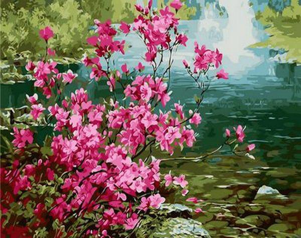 Картина по номерам Mariposa "Куст миндаля" 40x50 см (MR-Q1276)