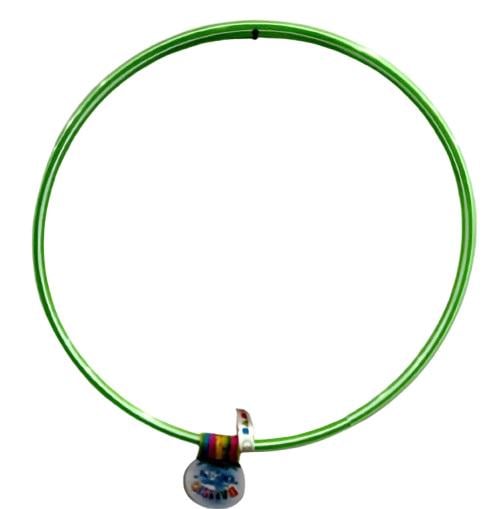 Обруч гимнастический мини Bamsic Зебра 53 см Зеленый (0172) - фото 1 Обруч гимнастический мини Bamsic Зебра 53 см Зеленый (0172) - фото 1