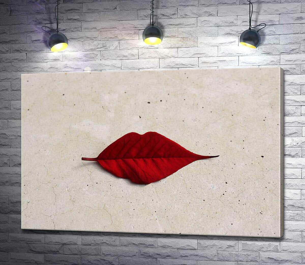 Картина ArtPoster Красный листик в форме губок лежит на мраморном полу 100x67 см Модуль №1 (001001) Картина ArtPoster Красный листик в форме губок лежит на мраморном полу 100x67 см Модуль №1 (001001)