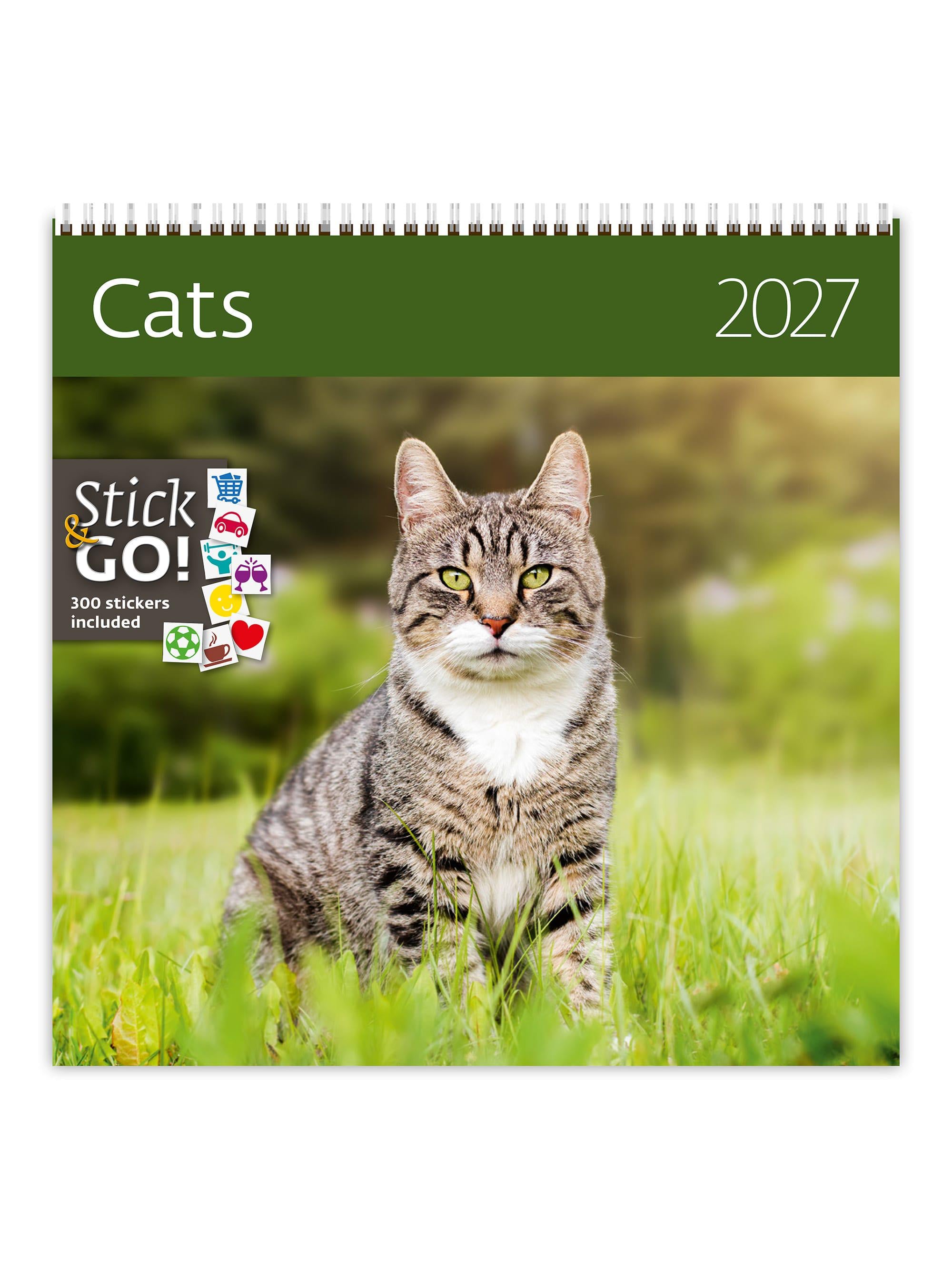 Календарь настенный 2027 HELMA Cats 30х30 см (LP01-27)