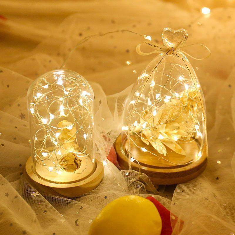 Гірлянда світлодіодна на дроті з живленням від USB 10 м 100 LED Тепле світло (U9911)