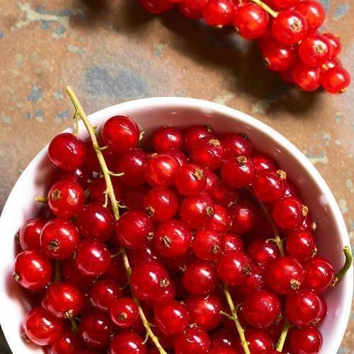 Саджанці AGROMARKET Саджанці AGROMARKET