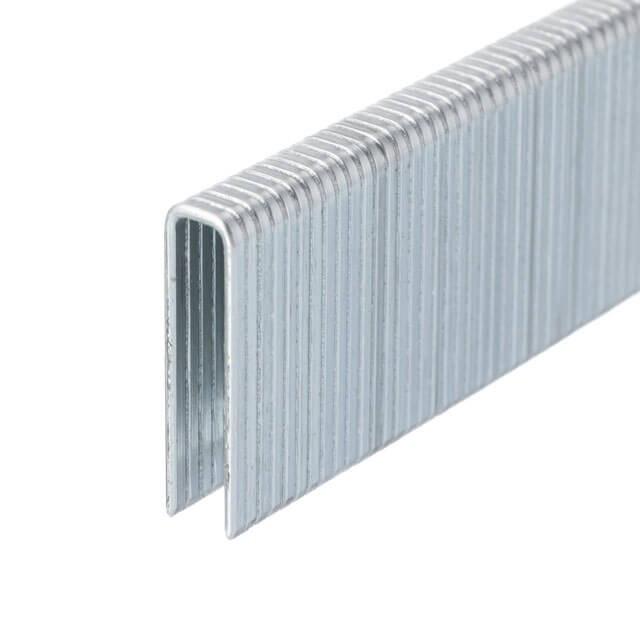 Скоба для степлера Intertool PT-8322 РТ-1612 22 мм 18GA 5,7 5,8x1,25x1,0 мм 5000 шт./уп. - фото 3 Скоба для степлера Intertool PT-8322 РТ-1612 22 мм 18GA 5,7 5,8x1,25x1,0 мм 5000 шт./уп. - фото 3