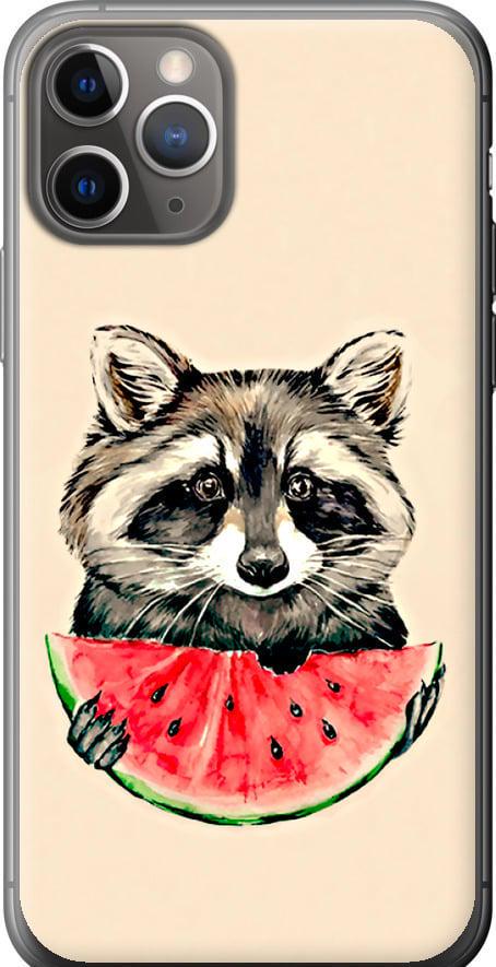 Чехол на iPhone 11 Pro Енотик с арбузом (4605t-1788-42517)