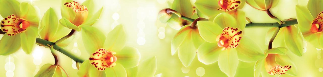 Наліпка вінілова 3D Zatarga Орхідеї тигрові 650х2500 мм Жовтий (1227934168)