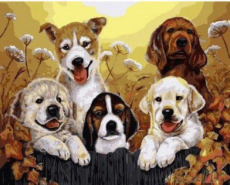 Картина по номерам Brushme "Щенята" (GX5604) Картина по номерам Brushme "Щенята" (GX5604)