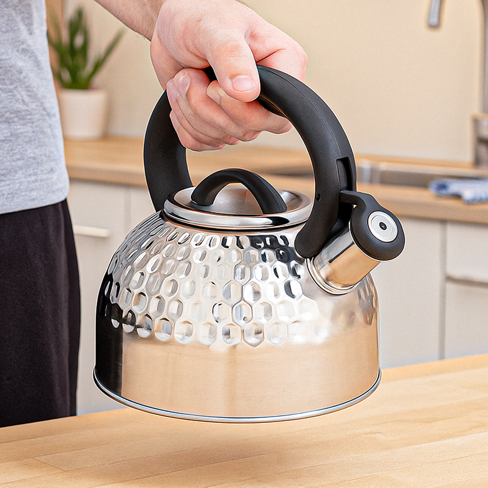 Чайник для плиты SteelArt с свистком капсульное дно нержавеющая сталь 2,5 л (03-MH-5177)