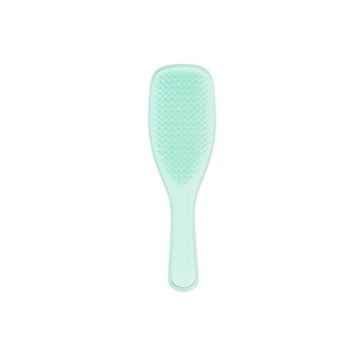 Расческа Tangle Teezer The Wet Detangler Fine&Fragile Sea Spray Green (1716945776)