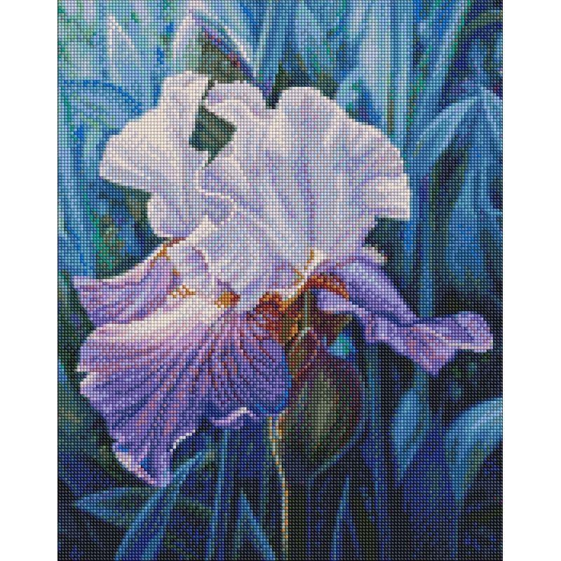 Алмазная мозаика Идейка Весенний ирис 40х50 см (AMO7285)