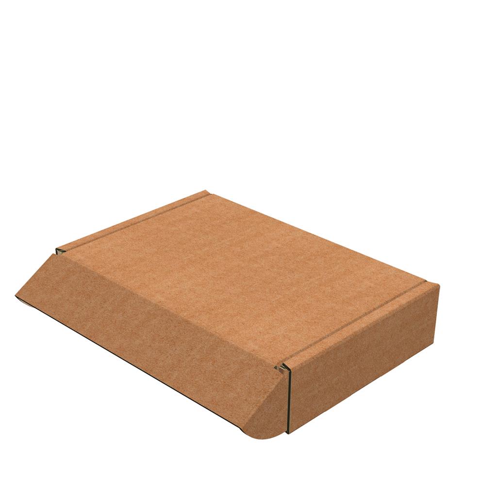 Коробка Пошти  240х170х50 0.5 кг - 20 шт.