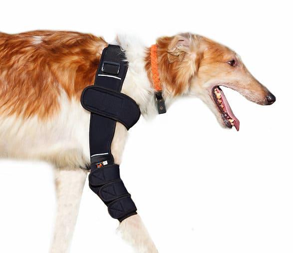 Бандаж для собак Frakishtak поддержка локтевого сустава на праву лапу L Черный (28436723) - фото 6 Бандаж для собак Frakishtak поддержка локтевого сустава на праву лапу L Черный (28436723) - фото 6