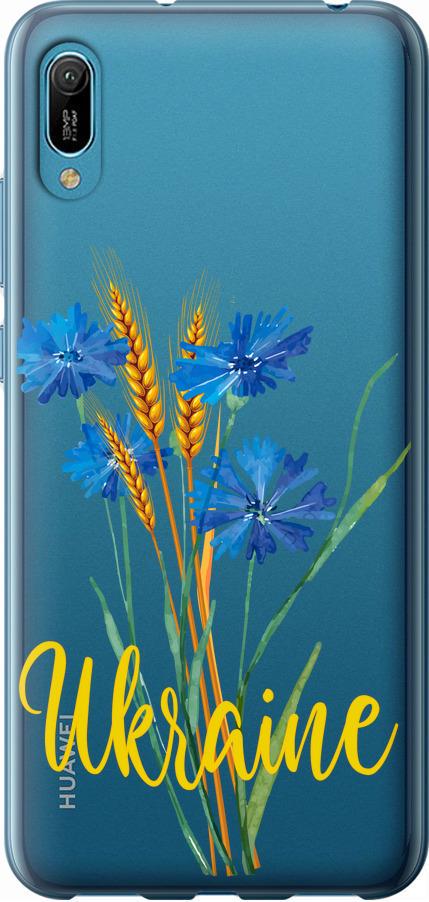 Чехол на Huawei Y6 2019 Ukraine v2 (5445t-1666-42517)