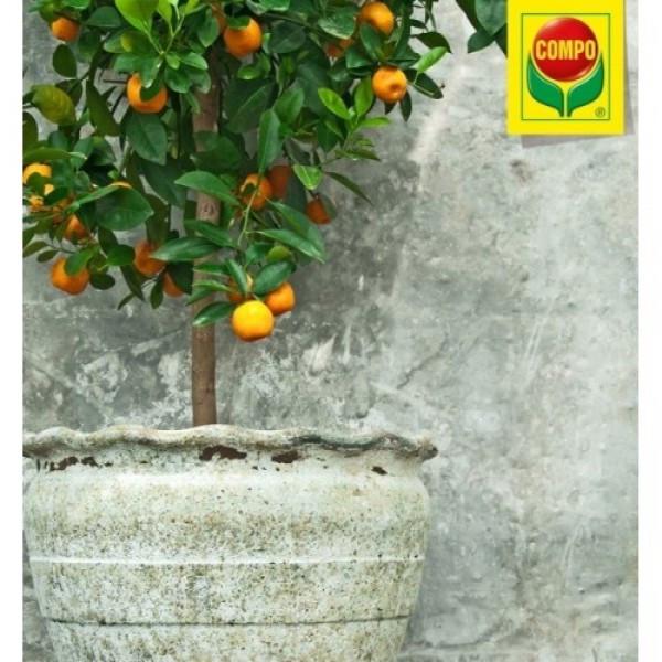 Торфосмесь для цитрусовых Compo Sana 10 л (1671) - фото 3 Торфосмесь для цитрусовых Compo Sana 10 л (1671) - фото 3