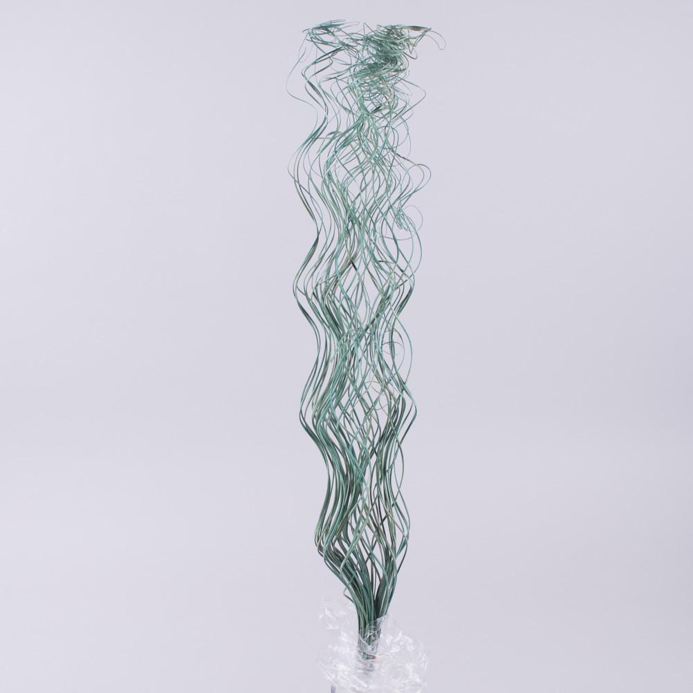 Сухоцвет ветки спиральки Лазурный (4561-5)