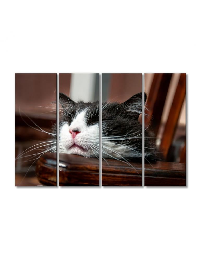 Картина модульная Спящий кот 4 модуля 60x90 см