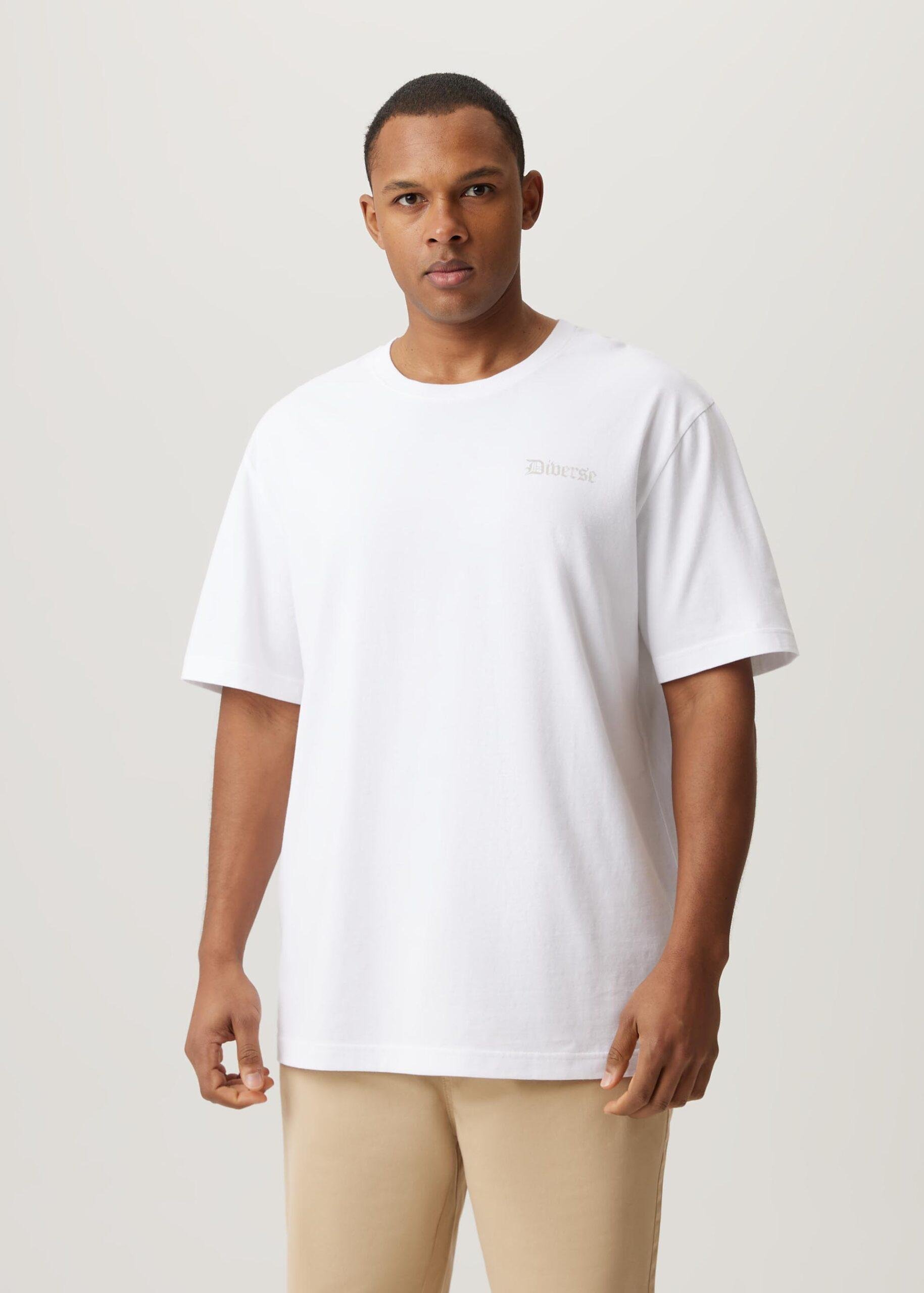 Футболка мужская Diverse BANDA 09 L Белый (5905384142238)