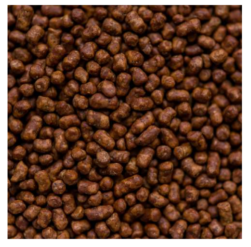 Гречневый чай Ку Цяо Chocomade Box 100 г - фото 2