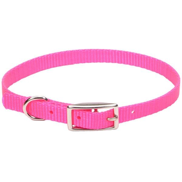 Ошейник для собак Coastal Nylon Web 1х30 см Неоново-розовый