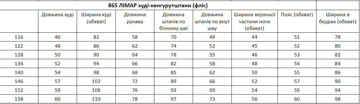 Спортивний костюм дитячий на флісі 152 см Графітовий (OBR-865G-152) - фото 5