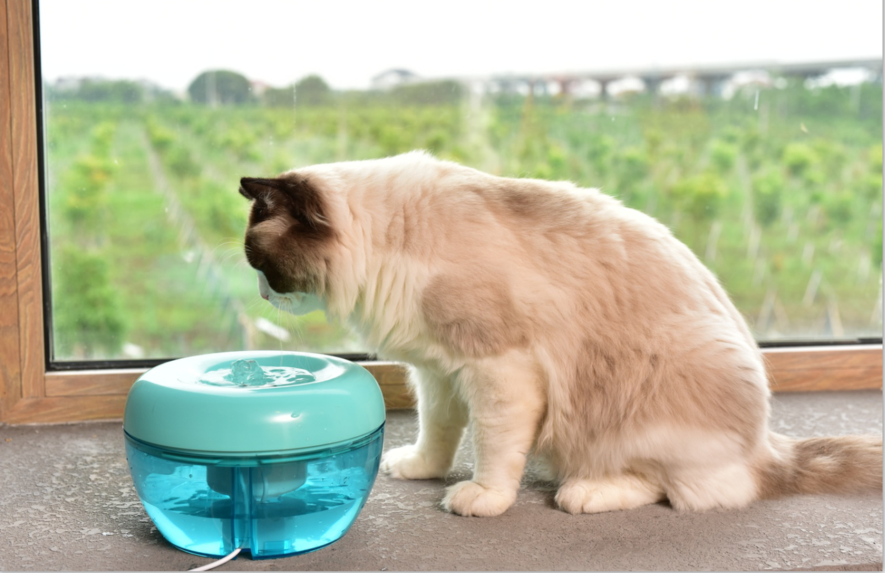 Поилка фонтан для кошек PAWOOF 1,5 л с фильтром Зеленый (1201768788) - фото 6 Поилка фонтан для кошек PAWOOF 1,5 л с фильтром Зеленый (1201768788) - фото 6