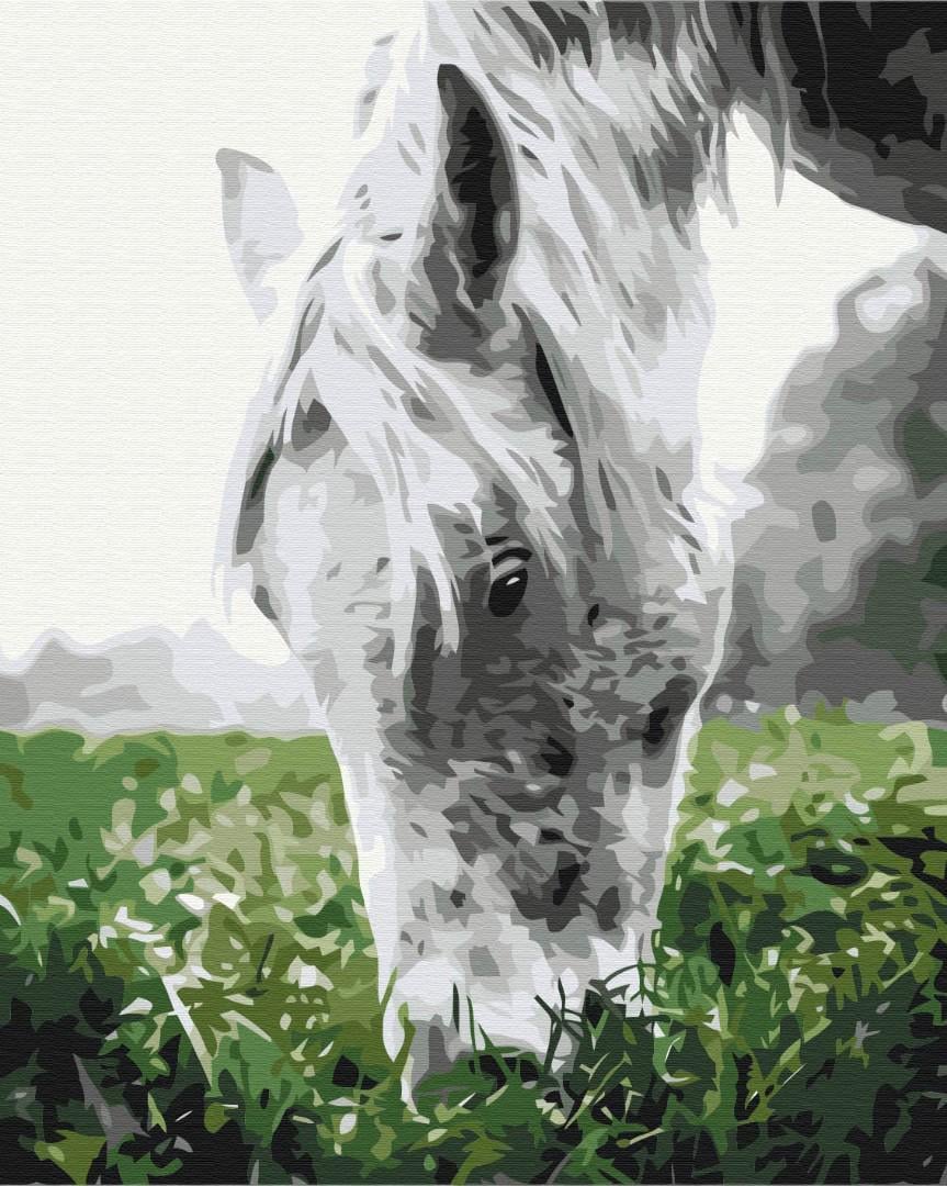 Картина по номерам Brushme Cерая лошадка 48x60 см (BS52443L)