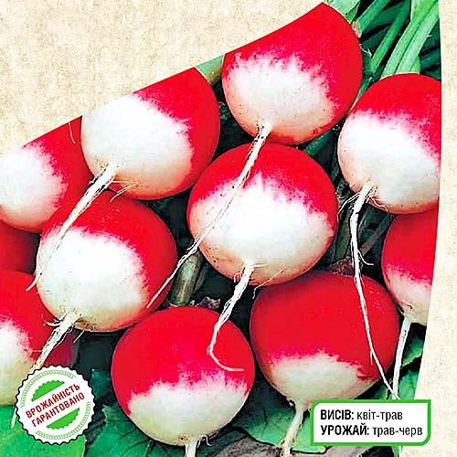 Семена Редіс Florium Націонал (7523) - фото 2 Семена Редіс Florium Націонал (7523) - фото 2