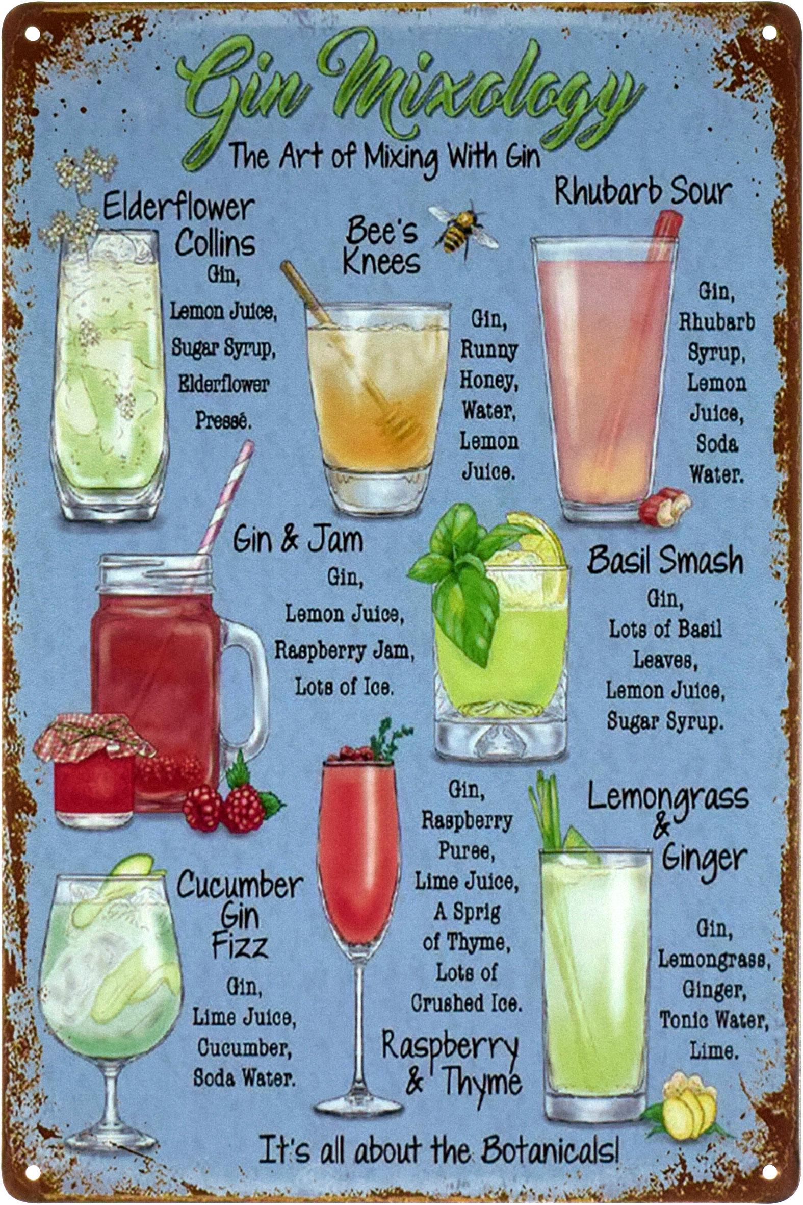 Металлическая табличка Правила смешивания джина/Gin Mixology 20x30 см