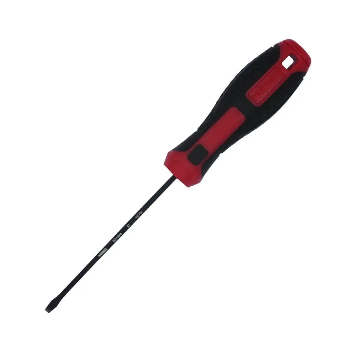 Викрутка Haisser 49127 s2 sl3 100 мм