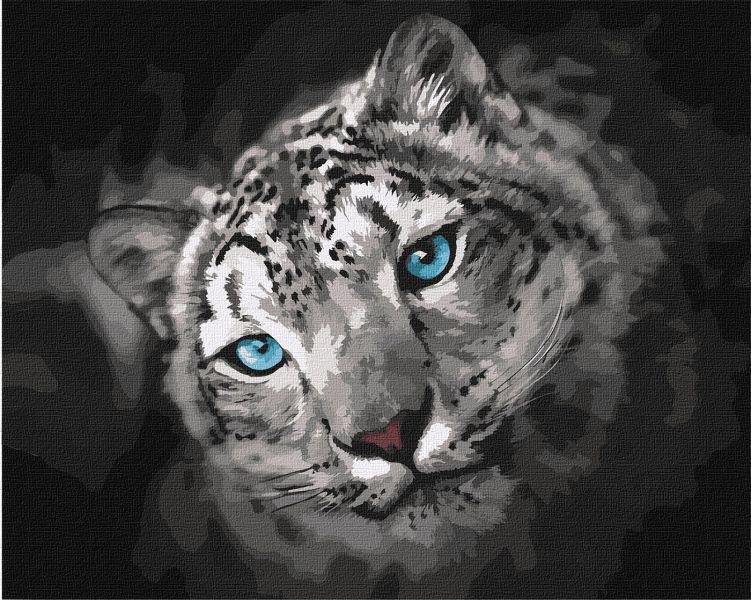 Картина по номерам Идейка Небесный взгляд 40x50 см (KHO4306)