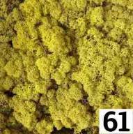 Стабилизированный мох Scandinavia 100 г (Yellow61) - фото 2 Стабилизированный мох Scandinavia 100 г (Yellow61) - фото 2