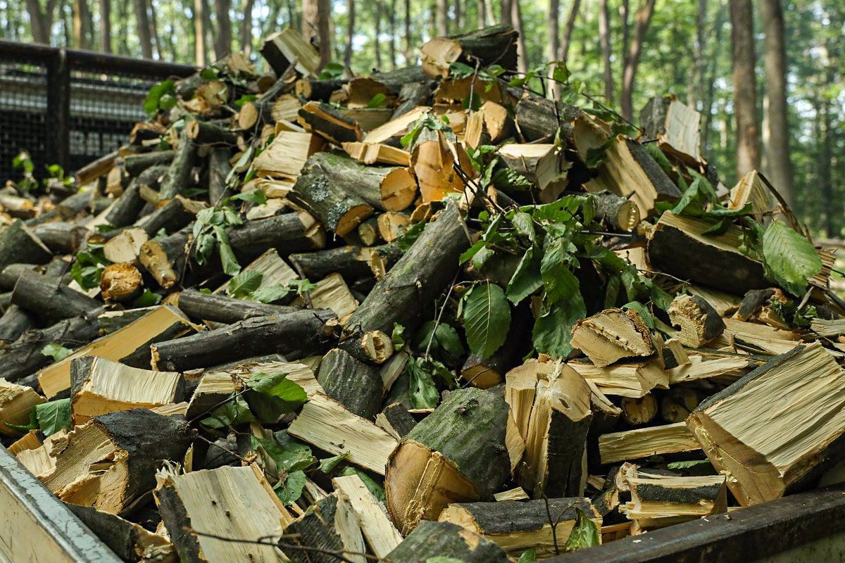 Подрібнювач гілок Arpal на шматки дров з бензиновим двигуном на причепі з поворотною платформою (АМ-200БД-К) - фото 9 Подрібнювач гілок Arpal на шматки дров з бензиновим двигуном на причепі з поворотною платформою (АМ-200БД-К) - фото 9