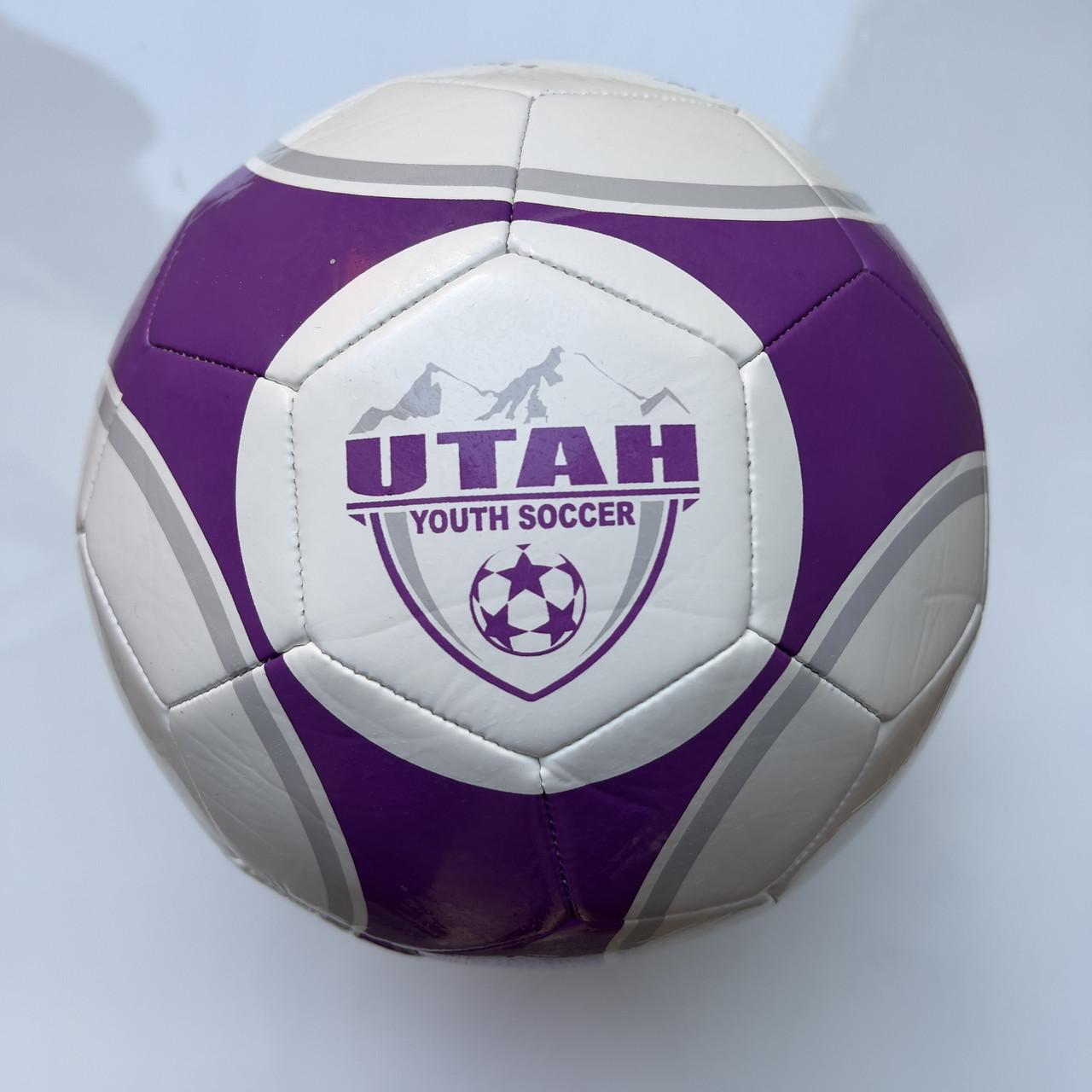 Мяч футбольный Practic UTAH Size 4 (11265295)