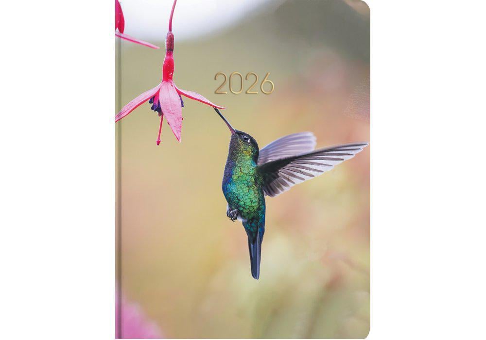 Дневник датированный 2026 Economix Color A5 336 стр. принт (E21870)