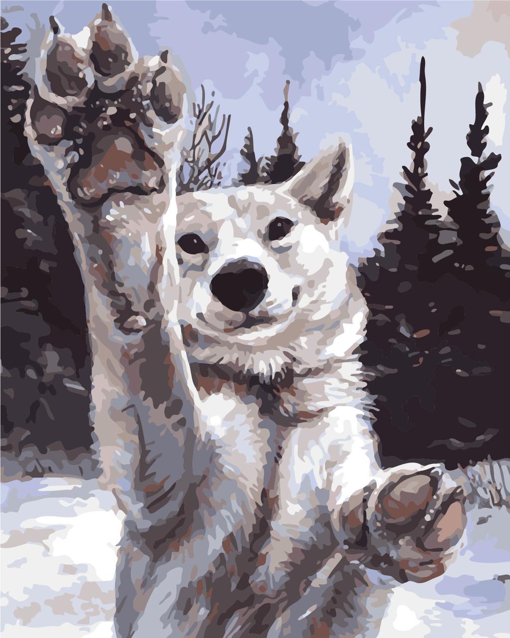 Картина по номерам Art Story Хочу играть 40х50 см (AS0284)
