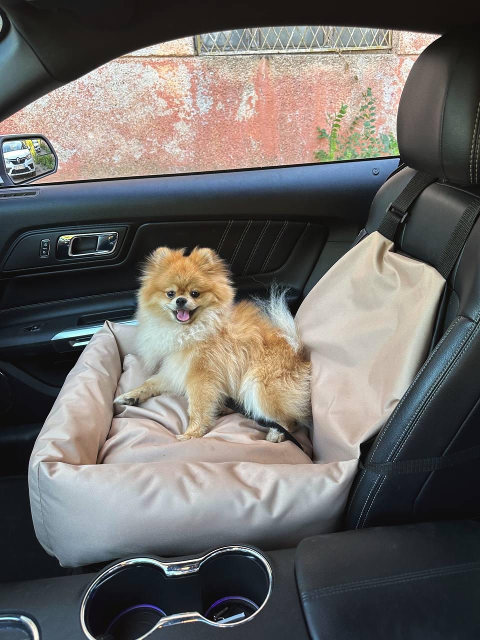 Автокрісло-автогамак Incor для собак і кішок зі знімним чохлом 52x52 см Бежевий (Б-52) - фото 8 Автокрісло-автогамак Incor для собак і кішок зі знімним чохлом 52x52 см Бежевий (Б-52) - фото 8