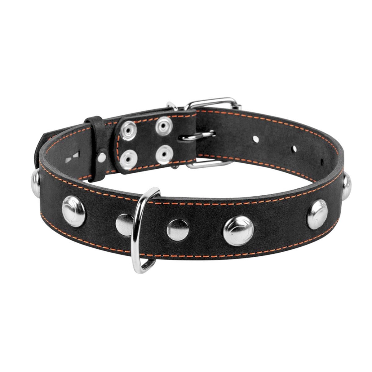 Ошейник Collar одинарный 35 мм 48-63 см Черный