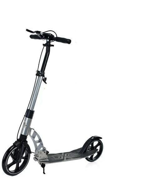 Самокат двухколесный iTrike SR 2-061-G Серый (6903317249497)